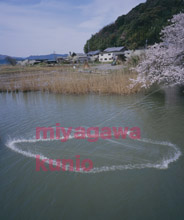 SD8000132