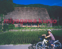 GF6450053   shirakawa