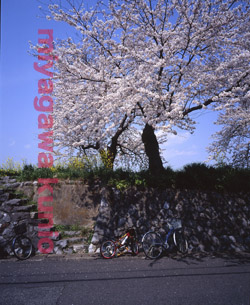 GF670233   2005OGAKI