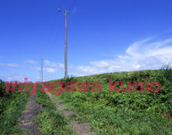 GF670239         2004