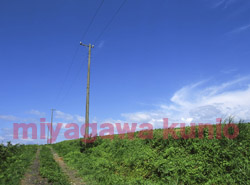 GF670245      2004