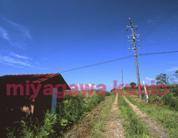 GF670247       2004