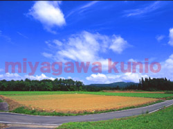 GF670257       2004