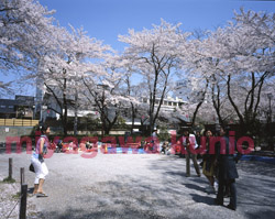 GF670291       2004GIFU