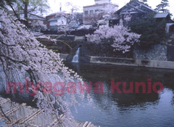 GF670303       2004TAKAYAMA