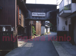 GF670310-1      2004TAISYOUMURA