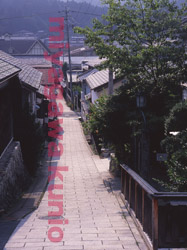 GF670293       2004TAISYOUMURA
