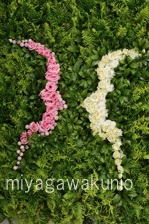 D3630miyagawakunio09564
