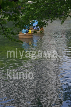 D3600miyagawakunio7888