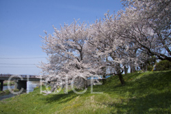 GD1500_8030
